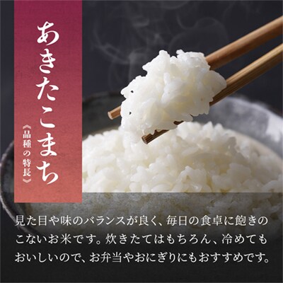 R7年産 あきたこまち 精米10kg(5kg×2袋)【豊田農園】