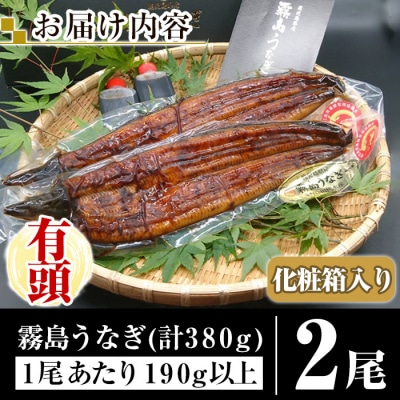 特別サイズ!霧島産うなぎ蒲焼き計380g以上(190g超×2尾)【田代水産】A5-034-RT