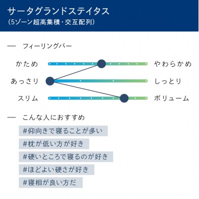 ドリームベッド サータグランド ステイタス Pシングル[No5895-0670]