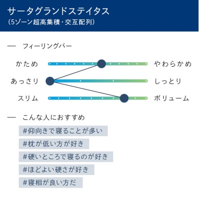 ドリームベッド サータグランド ステイタス ダブル[No5895-0672]