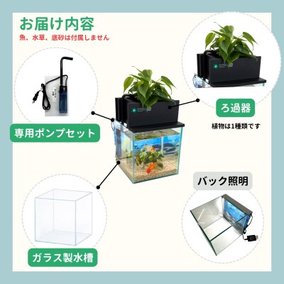 せせらぎビオトープ　20cm型基本+照明セット