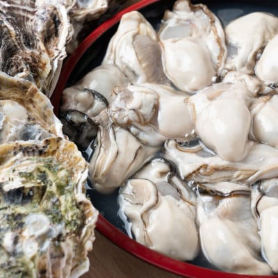 広島安芸津産　牡蠣むき身1.0kg・殻付き牡蠣25個セット【配送時期:2026年3月～4月中旬】