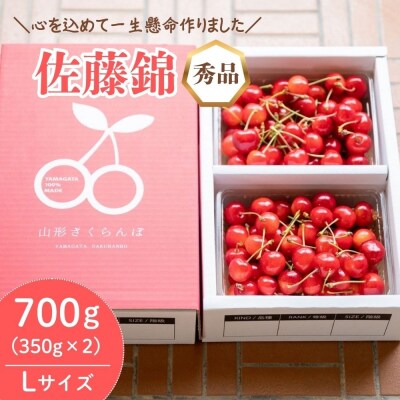 さくらんぼ(佐藤錦)700g　Lサイズ　0066-2601