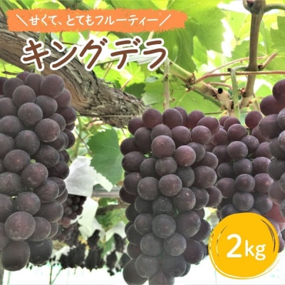 ぶどう(キングデラ)2kg 0066-2602