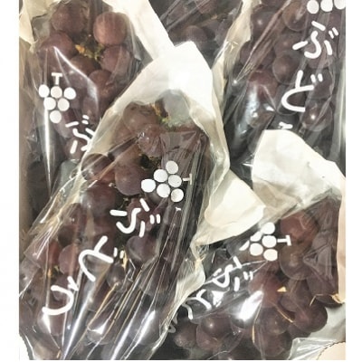 ぶどう(キングデラ)2kg 0066-2602