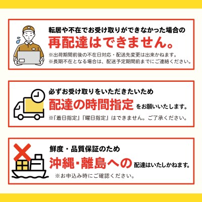 <2026年8月上旬より順次お届け>壮瞥町産とうもろこし(恵味ゴールド)約10kg  SBTA032