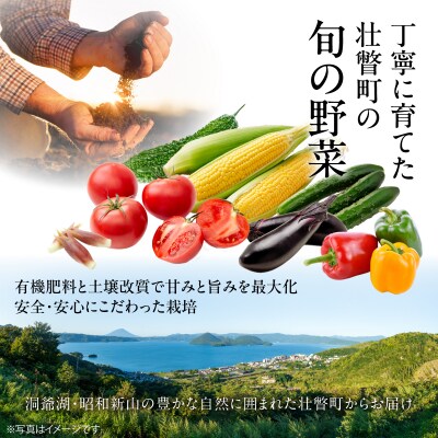 <2026年8月上旬より順次お届け>壮瞥町産とうもろこし(恵味ゴールド)約10kg  SBTA032