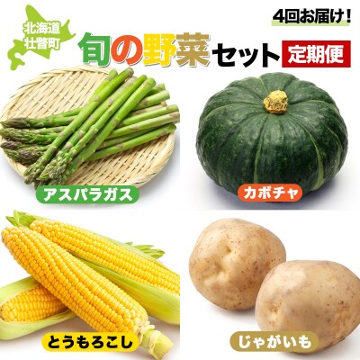 2026年5月下旬よりお届け>旬の野菜4種の定期便 SBTA045 | 北海道壮瞥町