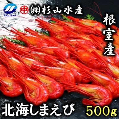 【北海道根室産】北海しまえび500g(28～34尾)×1P B-75010