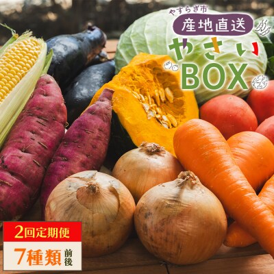 野菜 定期便 人気 2回定期便 やさいBOX(7種類前後) やすらぎ市 産地直送 Wyr-0034