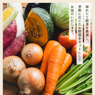 野菜 定期便 人気 2回定期便 やさいBOX(7種類前後) やすらぎ市 産地直送 Wyr-0034