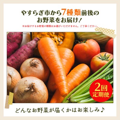 野菜 定期便 人気 2回定期便 やさいBOX(7種類前後) やすらぎ市 産地直送 Wyr-0034