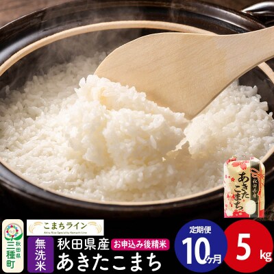 《定期便10ヶ月》【無洗米】あきたこまち 5kg 秋田県 |05_kml-030510