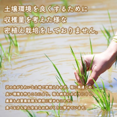 【無洗米】備蓄米 あきたこまち 5kg 秋田県|05_kml-090501