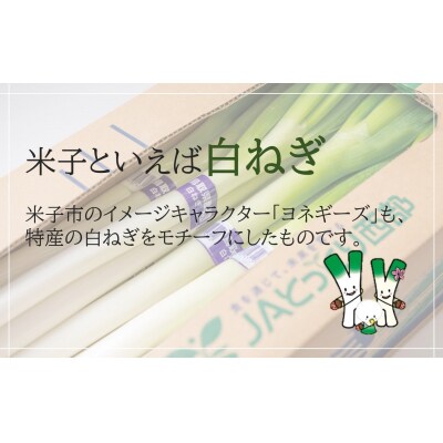 鳥取県産 白ねぎ 3kg
