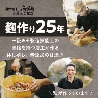 自然栽培米で作った プレミアム甘酒 200g×8パック ノンアルコール 飲む点滴  H140-029