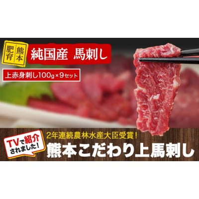 上赤身馬刺し100g×9セット(10ml×9袋)《3-7日以内に出荷予定(土日祝除く)》 