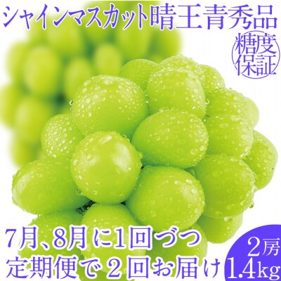 【2回定期便】シャインマスカット晴王 2房 (約1.4kg) 岡山県産 [No.5735-2151]