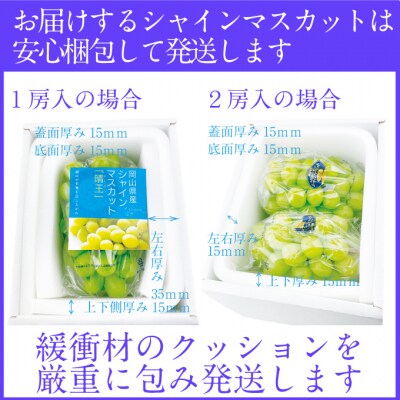 【2回定期便】 シャインマスカット晴王 1房 (約700g) 岡山県産 [No.5735-2147]