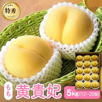 【数量限定】桃(黄貴妃)5kg　特秀品　0106-2603