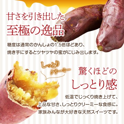 【お中元ギフト】 焼芋「甘太くん」ひみつの黄蜜芋 ≪7/1～8/9の期間に発送≫_F02003-S