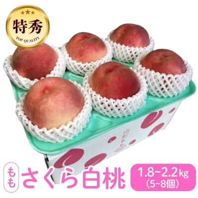 太陽の恵【特秀品】さくら白桃【2kg箱に1.8kg～2.2kg詰め】　0106-2604