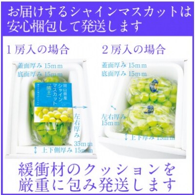 【3回定期便】シャインマスカット 晴王 2房 約1.4kg  岡山県産 [No.5735-2152]