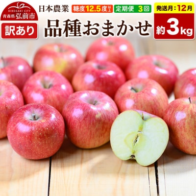《定期便3ヶ月》りんご 品種おまかせ 約3kg【訳あり】12～2月|24_nng-990303ag