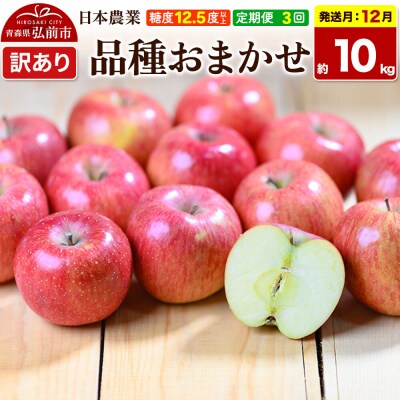 《定期便3ヶ月》りんご 品種おまかせ 約10kg【訳あり】12～2月|24_nng-991003ag