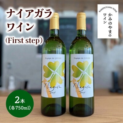 ナイアガラワイン(Voyage de YUUAI)白　2本　0115-2602