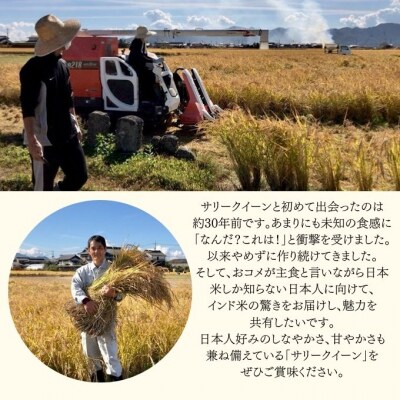令和7年産 サリークイーン500g×4袋 香り米  [No.5735-3479]
