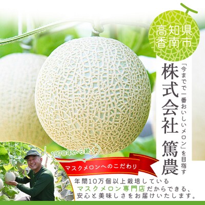 【6回定期便】一果相伝マスクメロン 家庭用 1玉入り Wtn-0039