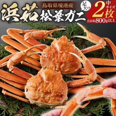 <火～木着><11月中旬～3月上旬発送予定>浜茹松葉ガニ足欠(2枚/計約800g以上)