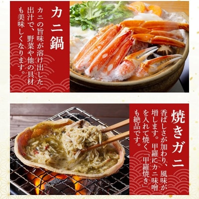 <火～木着><11月中旬～3月上旬発送予定>浜茹松葉ガニ足欠(2枚/計約800g以上)