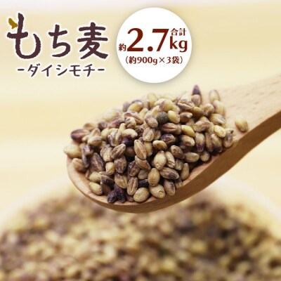 もち麦(ダイシモチ) 合計2.7kg もち麦国産 yr-0065