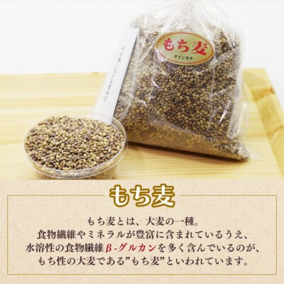 もち麦(ダイシモチ) 合計2.7kg もち麦国産 yr-0065