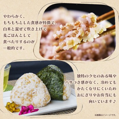 もち麦(ダイシモチ) 合計2.7kg もち麦国産 yr-0065