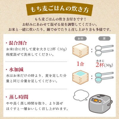 もち麦(ダイシモチ) 合計2.7kg もち麦国産 yr-0065