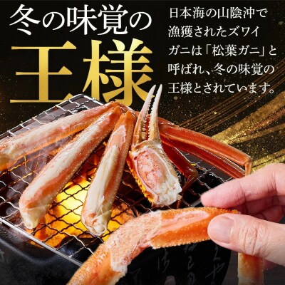 <金～日着><11月中旬～3月上旬発送予定>浜茹松葉ガニ足欠(2枚/計約800g以上)