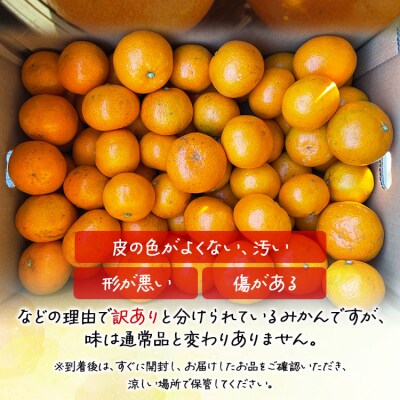 家庭用 山北みかん5kg露地(S～M)B品 小傷あり×2箱(合計10kg) 高橋農園 th-0011