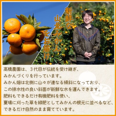 家庭用 山北みかん5kg露地(S～M)B品 小傷あり×2箱(合計10kg) 高橋農園 th-0011