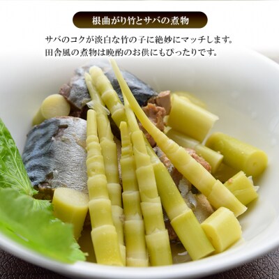 名産缶詰 タケノコ水煮(根曲り竹)5缶セット[No.5325-0663]