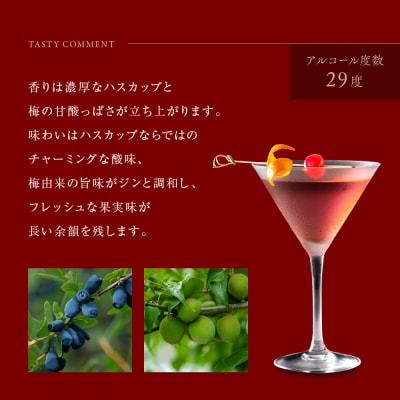 【京都蒸溜所】季の梅　京都プラムアンドベリーリキュール　700ml×1本