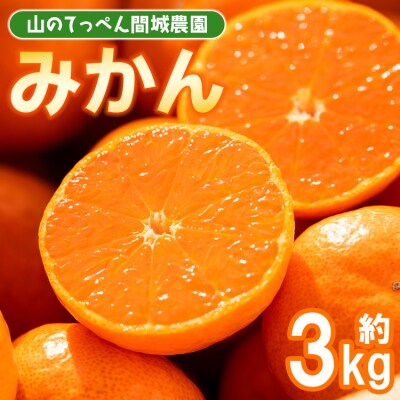 みかん3kg 糖度 人気 3キロ ジュース山のてっぺん間城農園 ms-0083