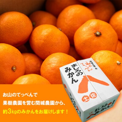 みかん3kg 糖度 人気 3キロ ジュース山のてっぺん間城農園 ms-0083