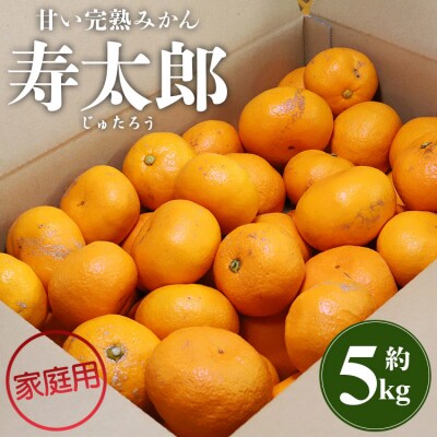 間城農園 甘い完熟みかん 寿太郎 (家庭用) 5kg 糖度 甘い 5キロ 人気 ms-0087