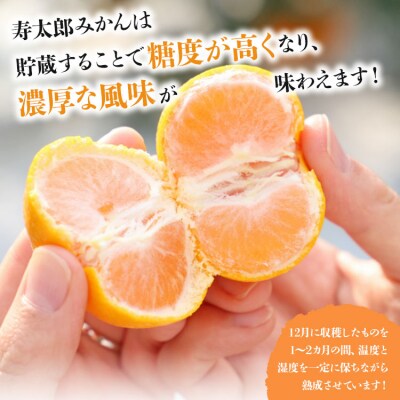 間城農園 甘い完熟みかん 寿太郎 (家庭用) 5kg 糖度 甘い 5キロ 人気 ms-0087