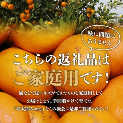 間城農園 甘い完熟みかん 寿太郎 (家庭用) 5kg 糖度 甘い 5キロ 人気 ms-0087