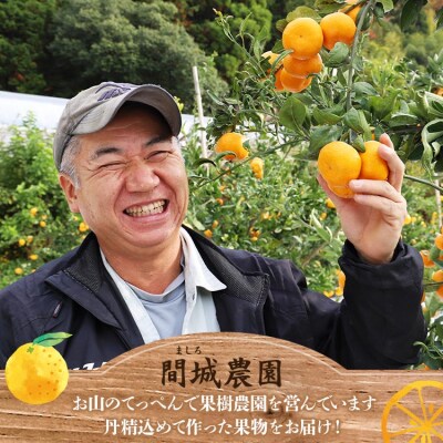 間城農園 甘い完熟みかん 寿太郎 (家庭用) 5kg 糖度 甘い 5キロ 人気 ms-0087