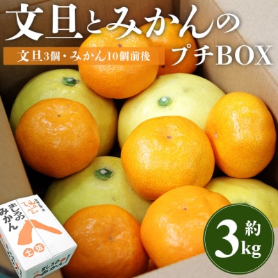 【先行受付】間城農園 ちょこっと食べたい方におすすめ「文旦とみかんのプチBOX」 ms-0088